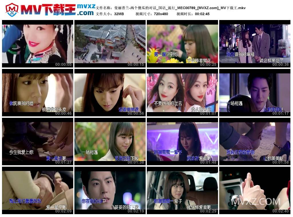 曼丽普兰-两个傻瓜的对话_国语_流行_MEC00789